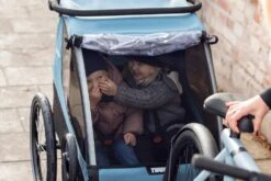 Thule Courier 2-sitziger Kinderanhänger -Kinderfahrrad 1161490