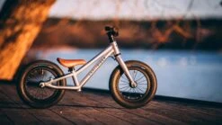 Early Rider, Charger 12, Kinderrad 2023 -Kinderfahrrad 20200122 155242000 ios