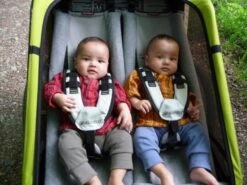 Thule Babysitz Für Chariot Kinderanhänger Ab 2002-2016 -Kinderfahrrad 2247 4