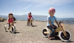 Wishbone Pre-Bike 3-in-1 Laufrad -Kinderfahrrad 3 in 1 alle drei varianten