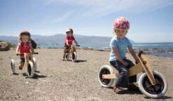 Wishbone Pre-Bike 2-in-1 Laufrad -Kinderfahrrad 3 in 1 alle drei variantencb6d9