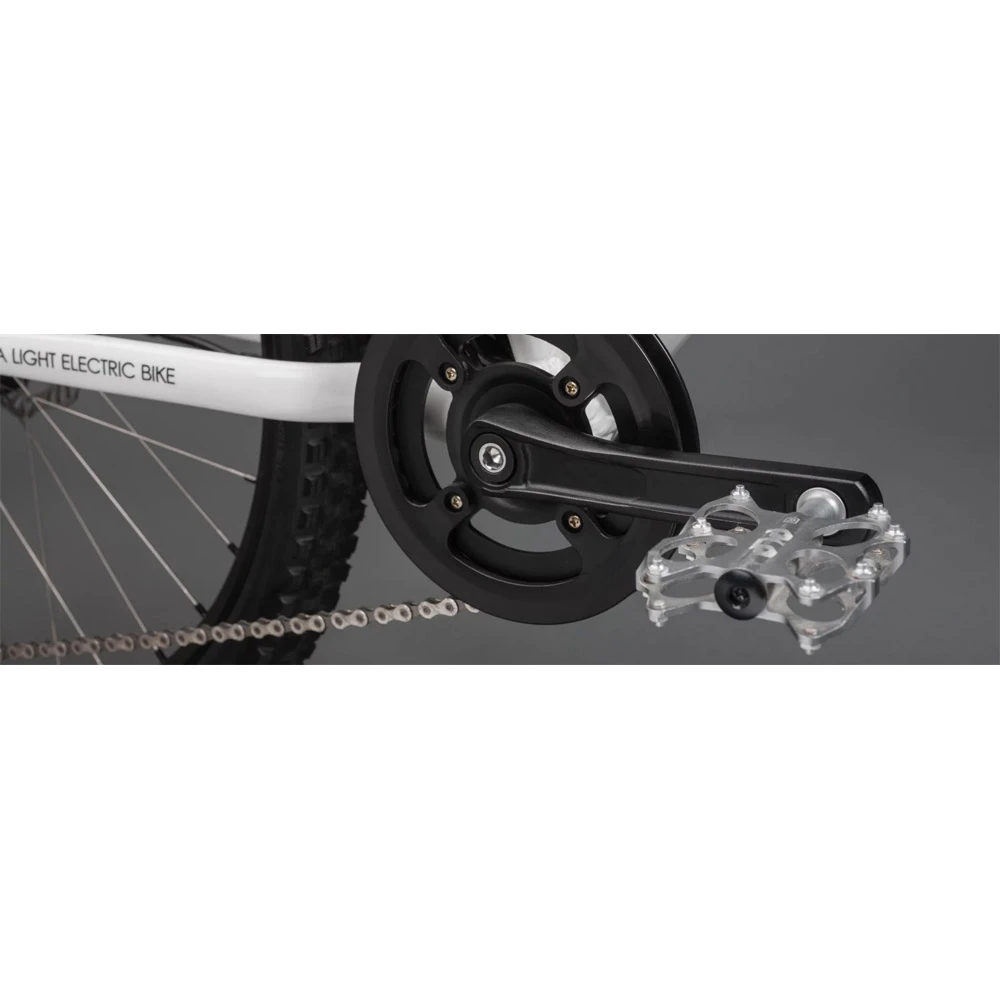 Ben-e-bike, Twenty E-Power 2023 / 20-Zoll Kinder E-Bike 11 Ben-e-bike, Twenty E-Power 2023 / 20-Zoll Kinder E-Bike – Bild 9