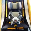 Thule Chariot Sitzstütze Für Tout Terrain Kinderanhänger -Kinderfahrrad 846 003