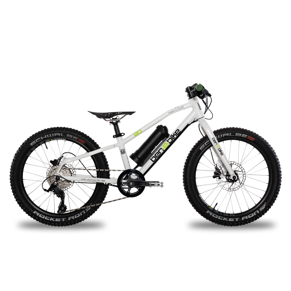 Ben-e-bike, Twenty E-Power 2023 / 20-Zoll Kinder E-Bike 3 Ben-e-bike, Twenty E-Power 2023 / 20-Zoll Kinder E-Bike