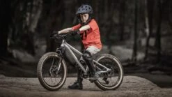 Early Rider, Hellion 20, MTB/Downhill Kinderrad 2023 -Kinderfahrrad hellion20 gallery desktop 2