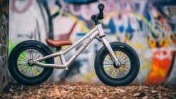 Early Rider, Charger 12, Kinderrad 2023 -Kinderfahrrad photo 2020 02 07 18 53 07