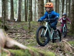 SCOR, 0020 Kids MTB 2022 -Kinderfahrrad scor 0020 kids bike gallery 1