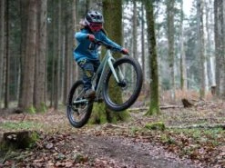 SCOR, 0024 Kids MTB 2023 -Kinderfahrrad scor 0024 kids bike gallery 1