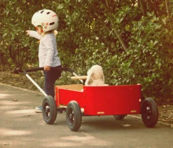 Wishbone Wagon 16 Wishbone Wagon -Kinderfahrrad wds wagon 1981