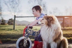 Wishbone Bike Limited Edition Pangolin – 3in1 Laufrad -Kinderfahrrad wishbone pangolin laufrad lifestyle2